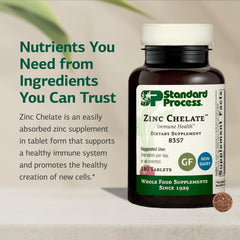 Standard Process Zinc Chelate tablets closeup, daily mineral source for health support.