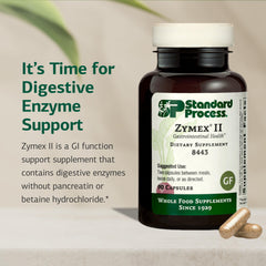 Standard Process Zymex II caplets close-up shows easy-to-swallow capsules