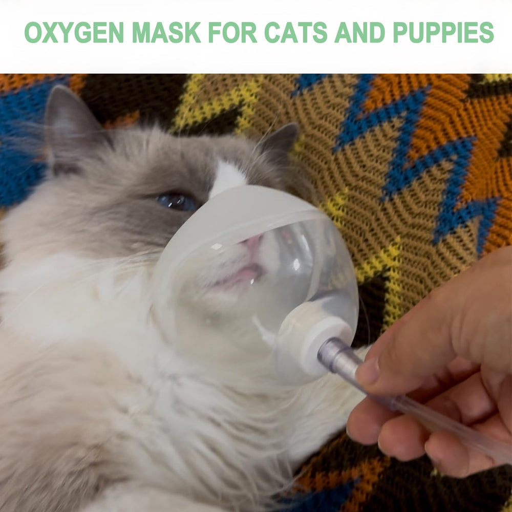 Starsum portable oxygen mask ready for transport and rescue use.