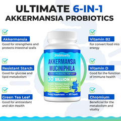 Steblowlly Chromium ingredient image highlighting metabolic support potential.