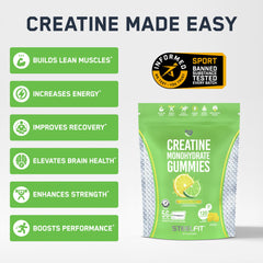 SteelFit Creapure Gummies pack shot highlights flavor and value for routine use.