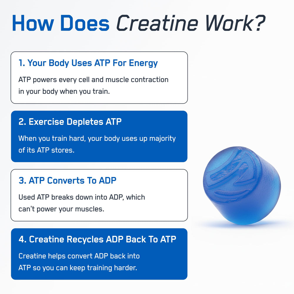 SteelFit Creapure Gummies before-workout shot indicates fast, tasty fueling.