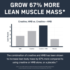 SteelFit Creatine HMB powder Germany-quality badge signals strict production.