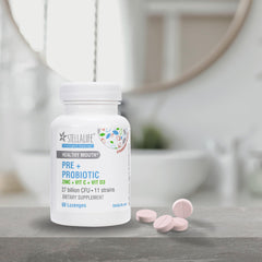 Prebiotics fueling probiotic activity in StellaLife blend for enhanced support