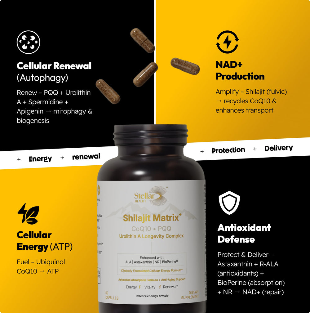 Stellar Health Clinical Mitochondrial Complex label closeup – transparent ingredient details.