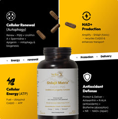 Stellar Health Clinical Mitochondrial Complex label closeup – transparent ingredient details.