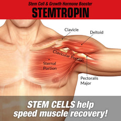 MuscleMeds STEMTROPIN during pre-workout prep highlighting potential performance and recovery benefits