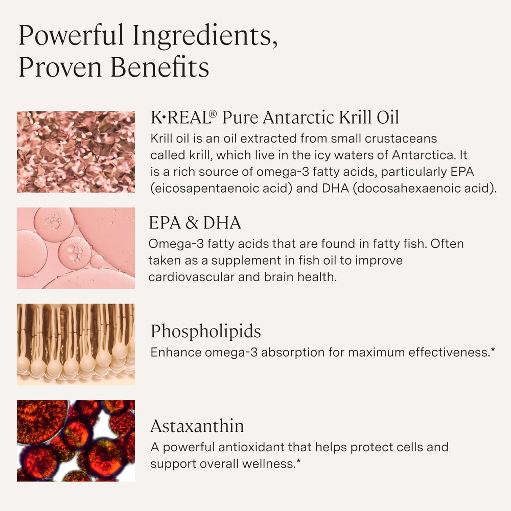 Detail of phospholipids in Stonehenge Dynamic Krill Oil with enhanced absorption