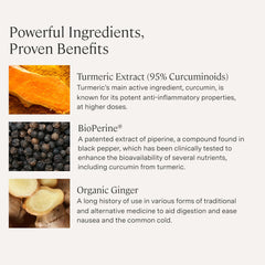 Stonehenge Health Dynamic Turmeric Curcumin ginger ingredients visible