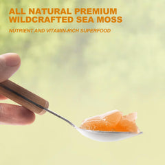 SumDIP Sea Moss Gel on a salad adding natural flavor and nutrients