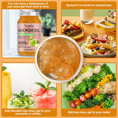 SumDIP Sea Moss Gel in a smoothie for a convenient energy boost