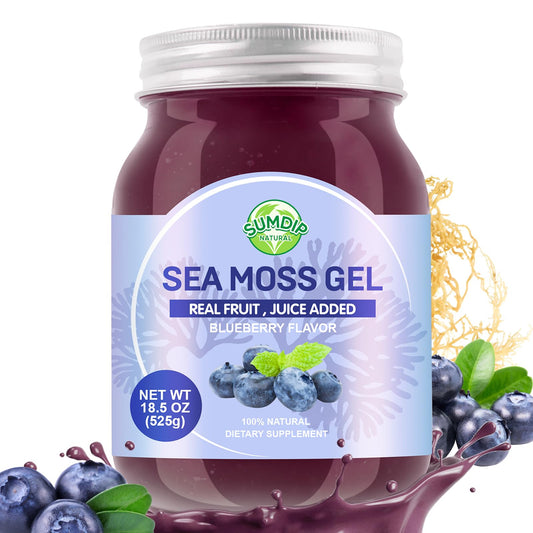 SumDIP Sea Moss Gel blueberry bottle for easy daily immune and energy support