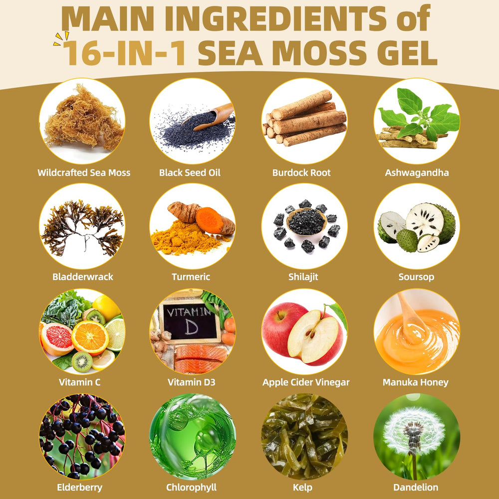 SumDIP Sea Moss Gel daily usage image suggests adding 1–2 tablespoons to shakes.
