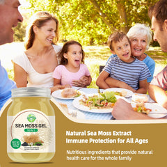 SumDIP Sea Moss Gel wildcrafted seaweed origin underscores natural mineral density.
