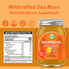 SumDIP Sea Moss Gel texture close-up showing smooth, fast-absorbing consistency.