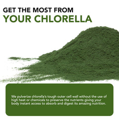 Sun Chlorella bottle label highlights vitamin B12 and iron
