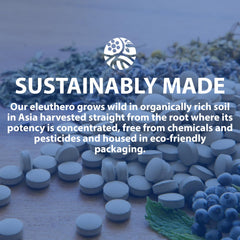 Non-GMO seal reinforces product integrity and quality promise.
