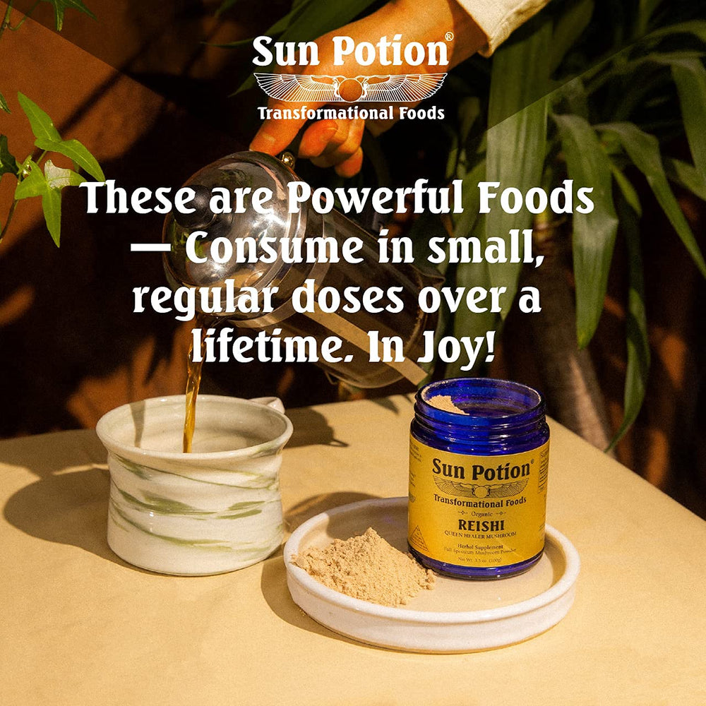 Sun Potion Ganoderma lucidum Ling Zhi illustration representing traditional adaptogen heritage.