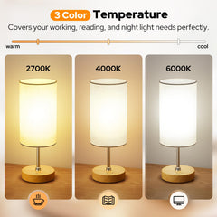 Sunkenet full-spectrum UV-free lamp provides safe ambient light.