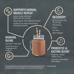 Sunwarrior plant-based protein ingredients emphasize clean, non-GMO formula.