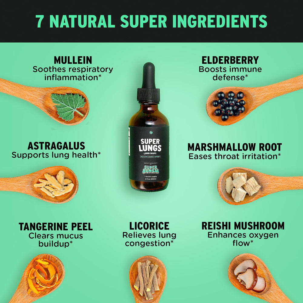 SuperBonsai Super Lungs blend with elderberry and reishi for seasonal balance.
