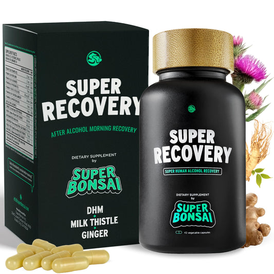 SuperBonsai Super Recovery bottle on kitchen counter supports post-celebration comfort.