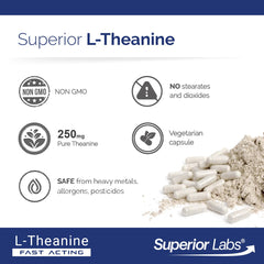Capsules from Superior Labs L-Theanine held in hand for easy swallowing