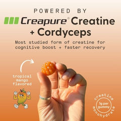 SuperMush Daily Creatine Gummies cordyceps jar closeup highlights vegan, sugar-free performance