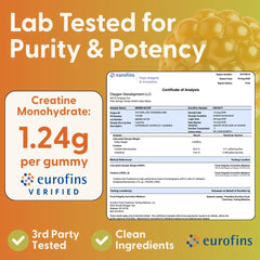 SuperMush Daily Creatine Gummies sugar-free tag highlights no added sugar