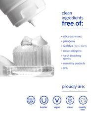 Supersmile Wild Mint two-step routine setup image illustrating simple at-home use