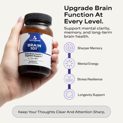 Suppgrade Labs Brain 101 label closeup detailing ingredients and notes