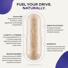 Suppgrade Labs Motivation 101 label back shows ingredients and usage guidance