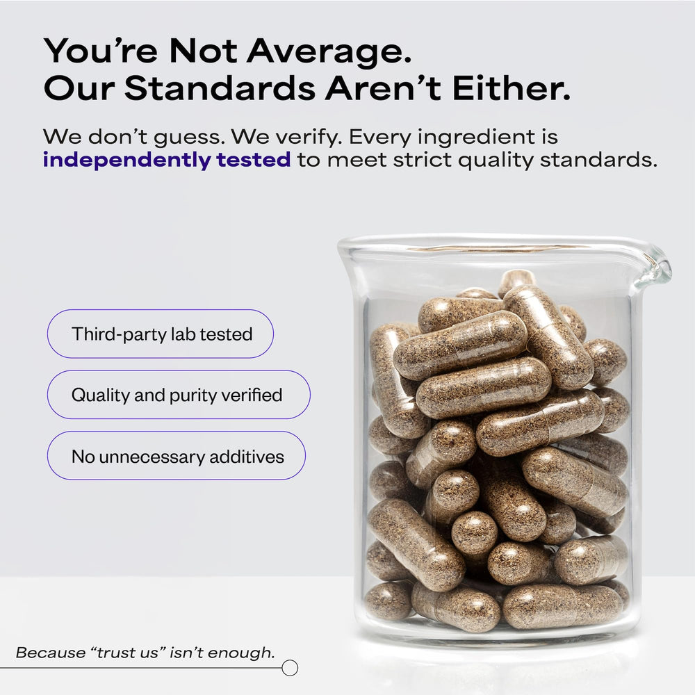 Freeze-dried liver image representing concentrated nutrient content in Organs101.