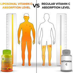 SUPPLEMENTS STUDIO Liposomal Vitamin C capsules shown with organic acerola imagery.