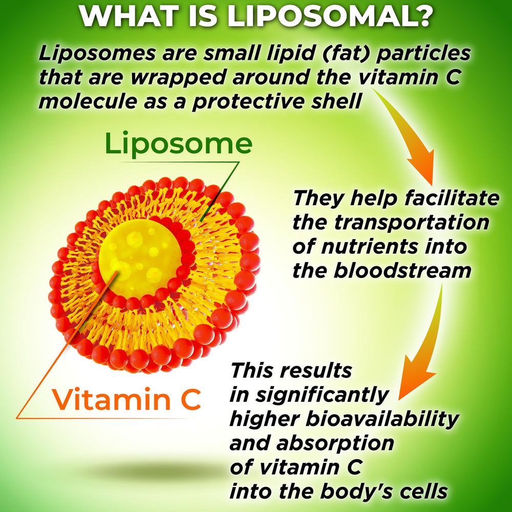 SUPPLEMENTS STUDIO Liposomal Vitamin C bottle on shelf emphasizes sunflower lecithin and clean ingredients.