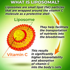 SUPPLEMENTS STUDIO Liposomal Vitamin C bottle on shelf emphasizes sunflower lecithin and clean ingredients.