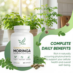 SUUDUUL Golden Chapter Moringa bottle side view for everyday vitality use