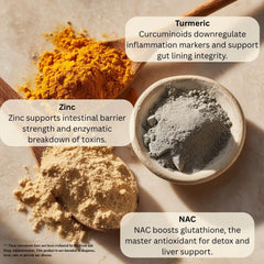 NAC supplement bottle from Sven PlastiClear for antioxidant pathway support