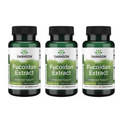 Swanson fucoidan extract bottle highlighting immune support potential
