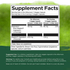 Swanson Magnesium L-Threonate two-pack packaging showing value.
