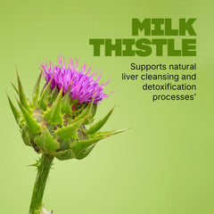 Swisse Turmeric Artichoke digestive blend package highlighting digestive comfort potential