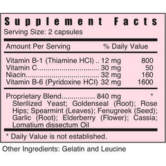 Systemic Formulas Gold Immune Plus capsules close-up for daily support