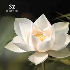 Sz Essentials Lotus Wh packaging front highlights premium quality and packaging care