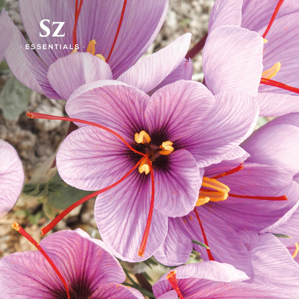 Sz Essentials saffron oil dropper allows precise dosing for aromatherapy