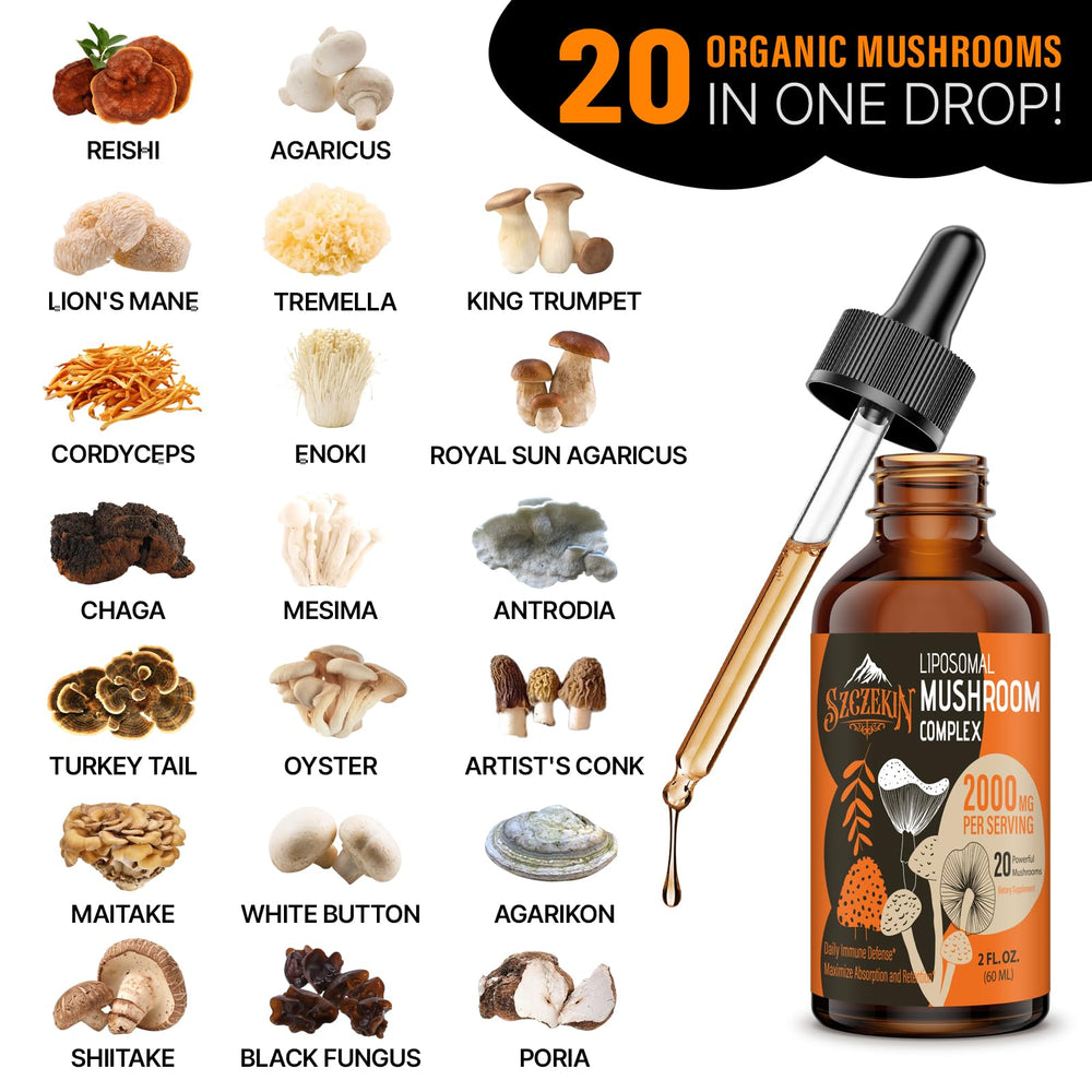 Szczekin Reishi mushroom visuals emphasize immune system support and overall well-being.