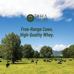New Zealand grass-fed dairy origin emphasizes natural ingredients in Taha protein.
