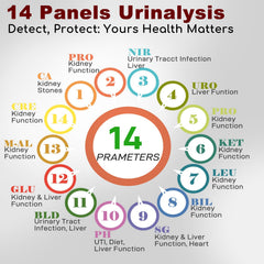 Tansozhe urine strips close-up with color chart for quick results.
