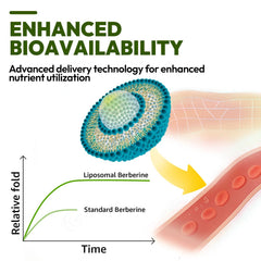 Tary Nally GLP-1 support graphic illustrating appetite regulation.