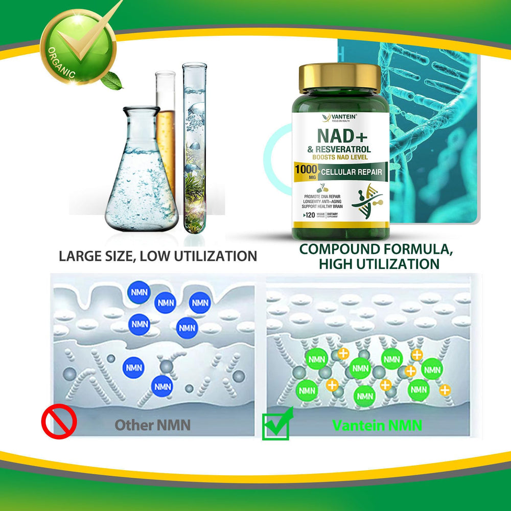 TEATTY NAD+ Plus energy scene; active lifestyle and potential energy support.