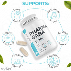 Teaveli Pharma GABA fermentation process illustration highlighting natural production